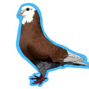 Sticker – Baldhead Birmingham pigeon