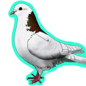 Sticker – Bell Neck Roller pigeon